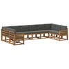 vidaXL Set vanjskih sofa 10 kom. Prirodna i antracit