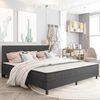 vidaXL Box spring okvir za krevet od tkanine sivi 200 x 200 cm