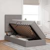 vidaXL Krevet s madracem i skladi&scaron;tem Sivo-smeđa 100 x 200 cm