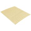 vidaXL Zamjenske letvice za krevet sa 17 letvica 100x200 cm