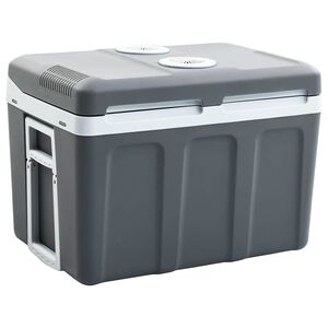 vidaXL Prijenosni termoelektrični hladnjak 40 L 12 V 230 V E