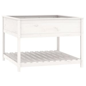 vidaXL Sadilica s policom bijela 111,5x111,5x81 cm od masivne borovine