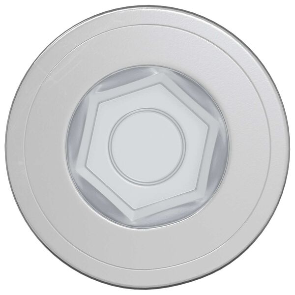 vidaXL Potvrđivački vijci 2 pcs Srebrno &Oslash;7 x 58 mm Metal