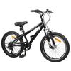 vidaXL Kids Mountain Bike 20 Inča 6-Speed za 5-8 godina Crna
