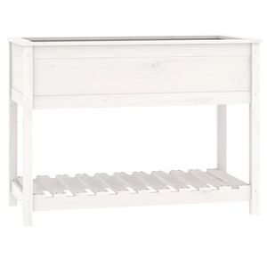 vidaXL Sadilica s policom bijela 111,5x54x81 cm od masivne borovine