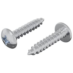 vidaXL Drvene vijake 2 kom. Srebrna M4 x 20 mm Čelik