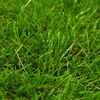 Sličica proizvoda 3 od 3