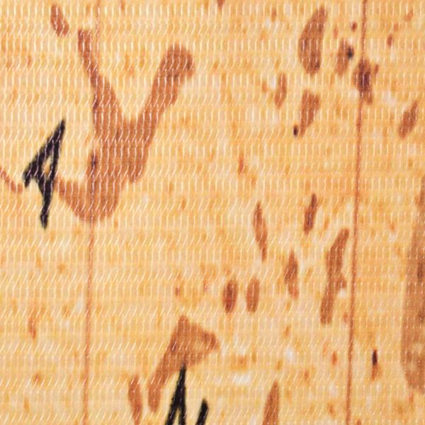 vidaXL Sklopiva sobna pregrada s kartom svijeta 228 x 170 cm žuta