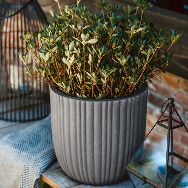 Capi jajolika posuda za sadnju Urban Tube 35 x 34 cm tamnosiva