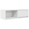 vidaXL TV ormarić bijeli 80x31x25,5 cm od konstruiranog drva