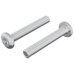 vidaXL Vijak za zaključavanje 2 pcs Srebrno M6 x 35 mm Čelik