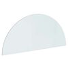 vidaXL Staklena ploča za kamin *Transparent*an 1200 x 500 mm Stakl