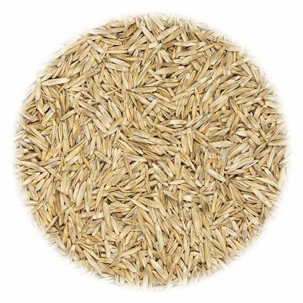 vidaXL Sjeme trave za područja za sport i igru 30 kg