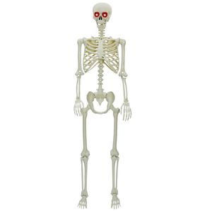 vidaXL Halloween Skelet Bijelo 155 x 38.5 cm Plastika