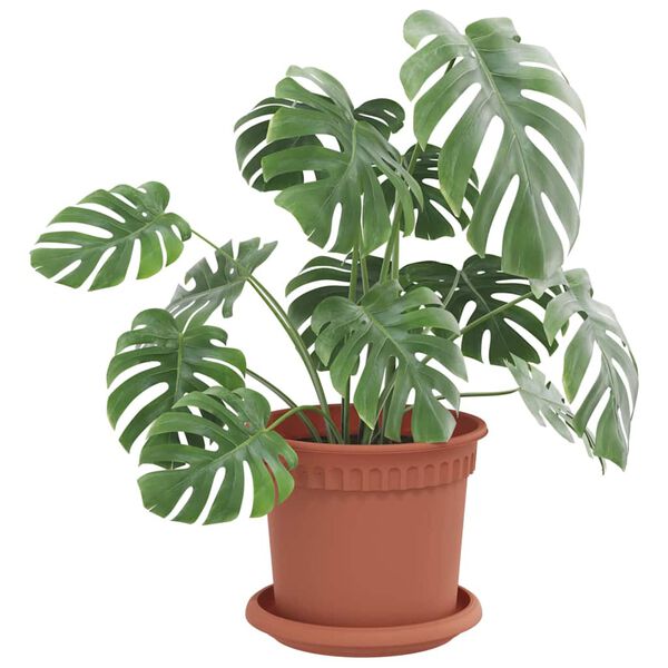 vidaXL Kružni Pladanj za Cvijeće 24 pcs Crvena cigla &Oslash; 14 x 2 cm