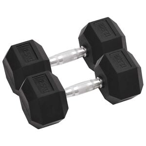 vidaXL Jednoručni utezi 2 kom 12,5 kg ukupno lijevano željezo