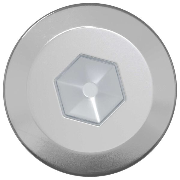 vidaXL Drvene vijake 12 pcs Srebrno M6 x 70 mm Čelik