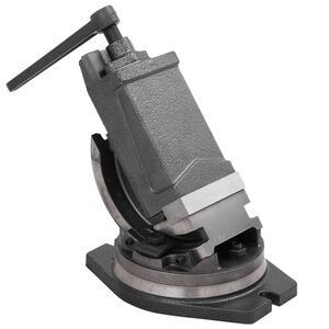 vidaXL Nagibna stega s 2 osovine 100 mm
