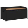 vidaXL Klupa za pohranu crna 100x50x52 cm poliratan i bagremovo drvo