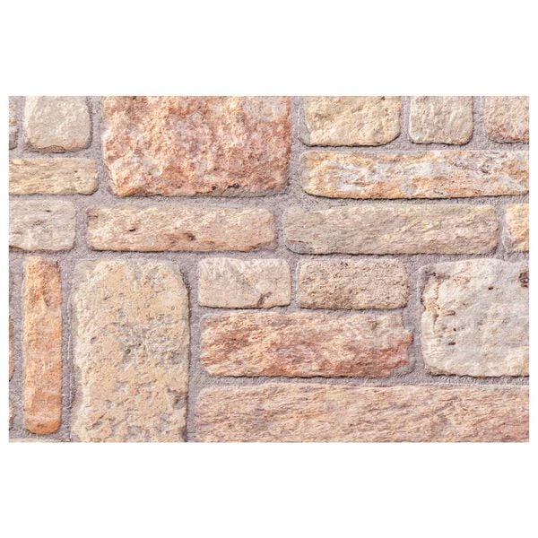 vidaXL Zidne panele 10 pcs Svijetlo smeđa i bijela 100 x 50 cm