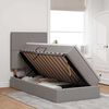 vidaXL Krevet s prostorom za pohranu s LED-om Sivo-smeđa 100 x 200 cm