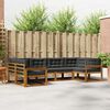 vidaXL Set vanjskih sofa s jastukom 6 pcs Prirodna i antracit