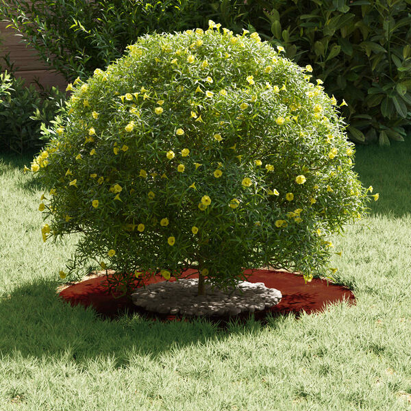 vidaXL pogodno za ravni drveni prsten Smeđa &Oslash;30 / 60 cm