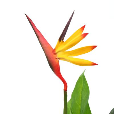 vidaXL Umjetna biljka rajska ptica Strelitzia reginae 66 cm