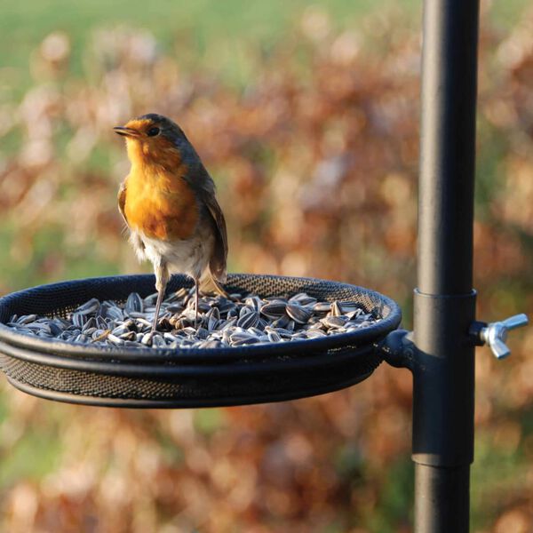 Esschert Design hranilica za ptice FB150