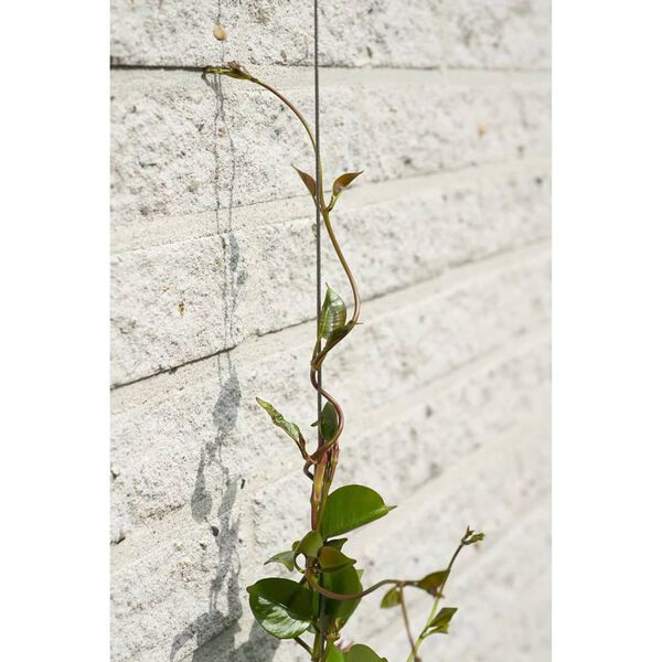 419738 Nature Wire Trellis Set for Climbing Plants 6040760