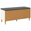 vidaXL Klupa za hodnik s jastukom s pohranom Bijelo 100 x 38 x 46 cm