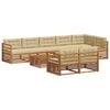 vidaXL Set vanjskih sofa s jastukom 9 pcs Prirodna i bež