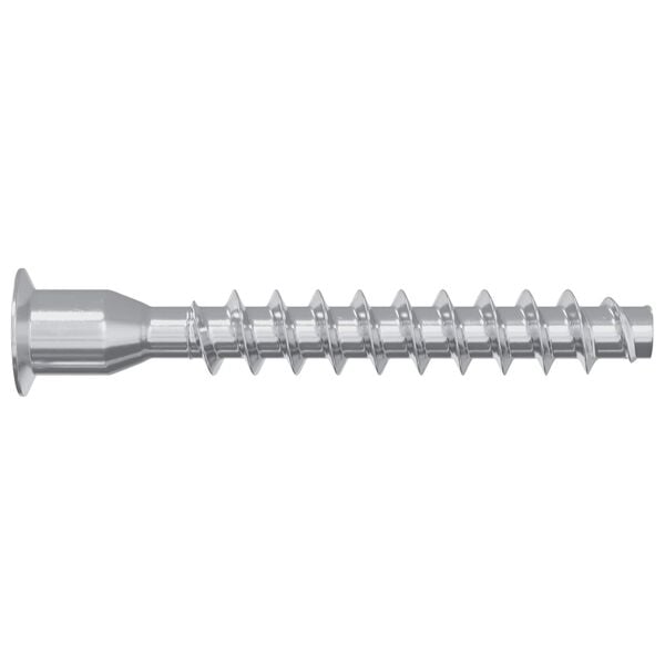 vidaXL Potvrđivački vijci 2 pcs Srebrno &Oslash;7 x 50 mm Metal