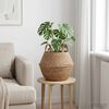 Sličica proizvoda 2 od 6