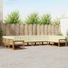 vidaXL Set vanjskih sofa s jastukom 10 pcs Prirodna i krem