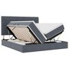 vidaXL Krevet s LED trakama s pohranom Tamno siva 180 x 200 cm Bar&scaron;un
