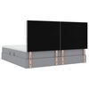 vidaXL Krevet s prostorom za pohranu s LED-om Svijetlo siva Poliester
