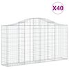 vidaXL Lučne gabionske ko&scaron;are 40kom 200x30x100/120cm pocinčano željezo