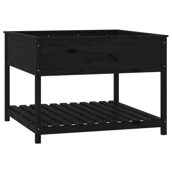 vidaXL Sadilica s policom crna 111,5x111,5x81 cm od masivne borovine