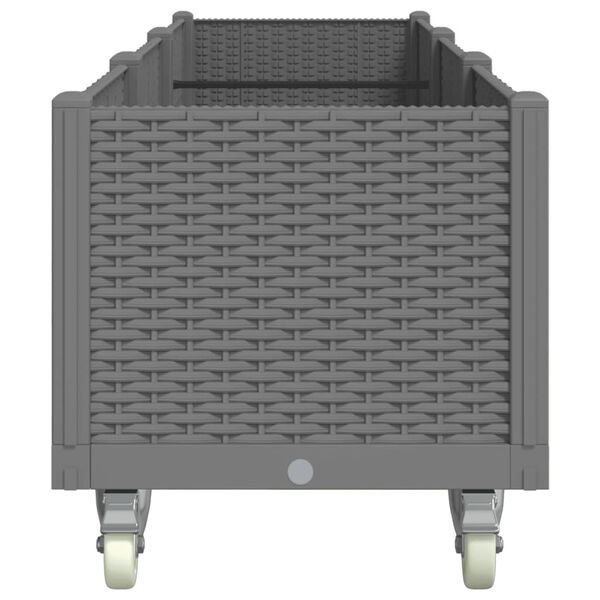 vidaXL Vrtna sadilica s kotačima siva 240x50x54 cm PP