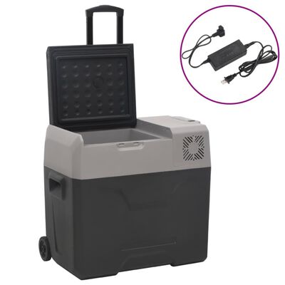 vidaXL Prijenosni hladnjak s kotačima i adapterom crno-sivi 50 L PP