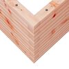 vidaXL Vrtna sadilica 70x70x45,5 cm od masivnog drva duglazije