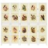 vidaXL Romdivider Panel Bijelo 176,5 x 165 cm MDF