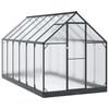 vidaXL Vrtni staklenik s vratima Antracit 183,5 x 363,5 x 207 cm