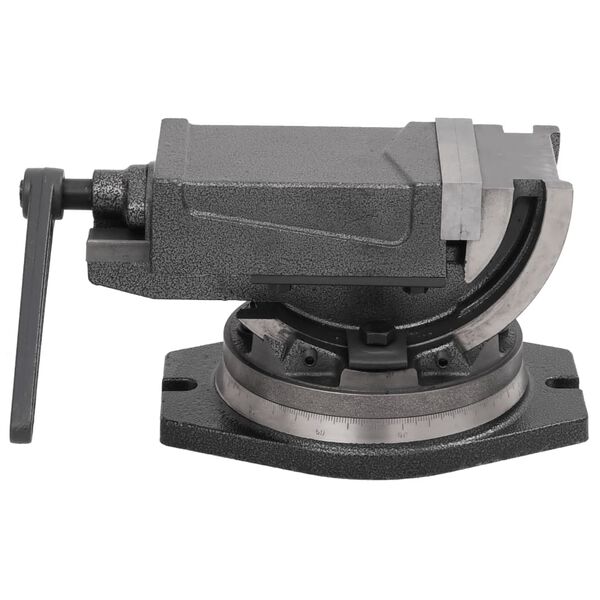 vidaXL Nagibna stega s 2 osovine 100 mm