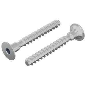 vidaXL Vijak 2 kom. Cinkom premazano 5 x 40 mm Željezo