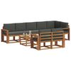 vidaXL Set vanjskih sofa s jastukom 9 pcs Prirodna i antracit