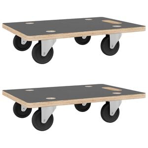 vidaXL Transportna kolica 2 kom pravokutna 50 x 35 x 11,5 cm 250 kg