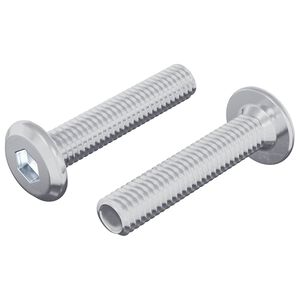 vidaXL Vijak za zaključavanje 2 pcs Srebrno M6 x 30 mm Čelik
