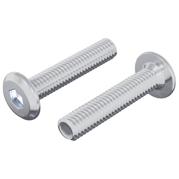 vidaXL Vijak za zaključavanje 2 pcs Srebrno M6 x 30 mm Čelik